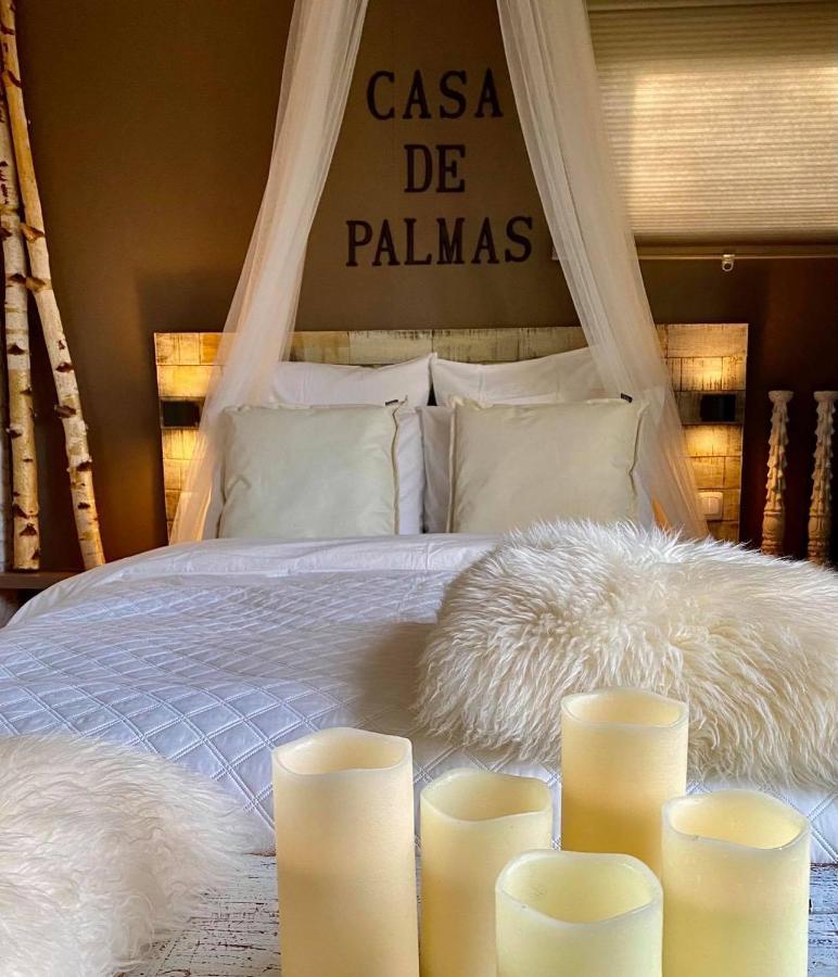 Casa De Palmas Villa Alkmaar Kültér fotó